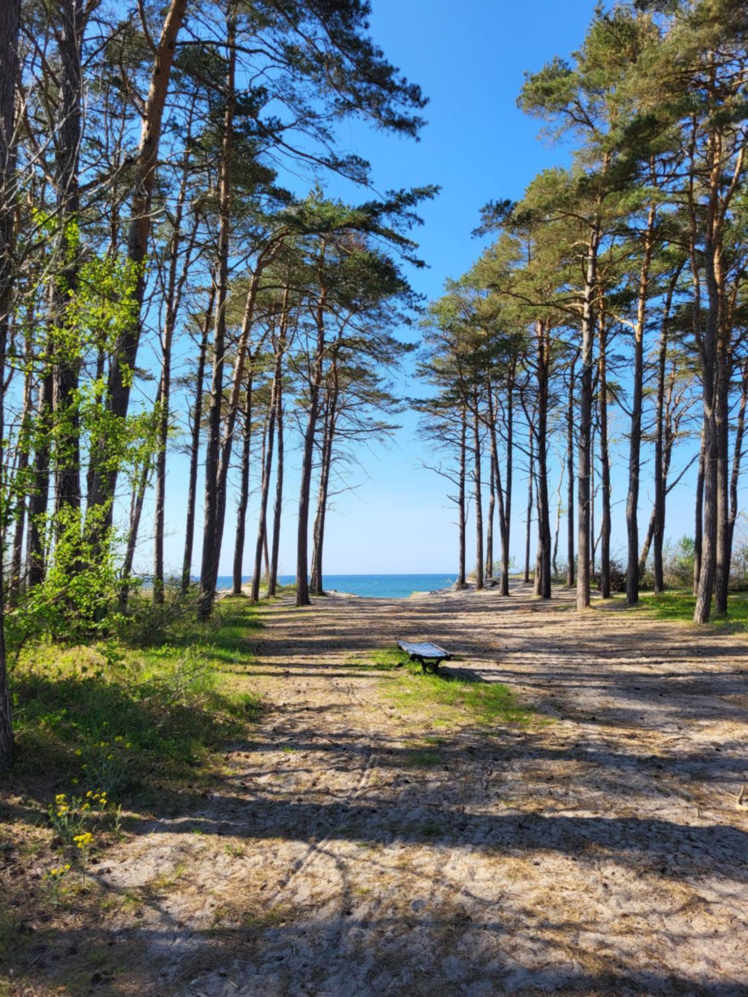 Domki Letniskowe ,,Tecza" Rusinowo  Exteriör bild